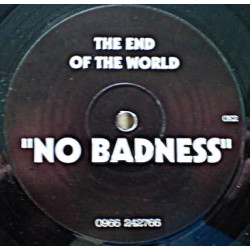 End Of The World - No Badness (One Sided Vinyl Promo)