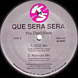 Que Sera Sera - You Dont Know (12" Vocal / Instrumental / Vice Mix / Alternate Mix)