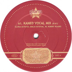 Gloria Estefan - No Me Dejes De Querer (Kaned Voval Mix / Pablo Flores Del Caribe Mix) Vinyl Promo