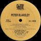 Peter Buckley - Ive Been Lonely (LP Version / 4 Todd Terry Mixes / David Z Cool Dance Mix)