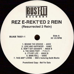 Rez E-Rekt'ed 2 Rein - 14 Track Promo LP Feat Juice / B.L.A.M / Kawz / Angie B / Lisa Stone / P.R.E.Y