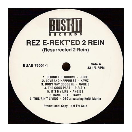 Rez E-Rekt'ed 2 Rein - 14 Track Promo LP Feat Juice / B.L.A.M / Kawz / Angie B / Lisa Stone / P.R.E.Y