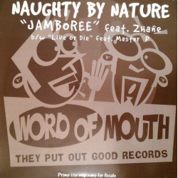 Naughty By Nature - Jamboree (Feat Zhane) LP Version / Radio Mix / Inst / Live Or Die (Feat Master P) Vinyl Promo