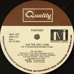 Fantasy - Live The Life I Love (Vocal / Instrumental) Vinyl 12" Single