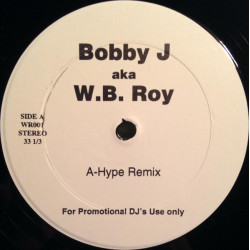 Bobby J AKA W.B Roy - Something In The Way (Remix / Hype Remix) Vinyl Promo