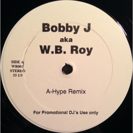 Bobby J AKA W.B Roy - Something In The Way (Remix / Hype Remix) Vinyl Promo