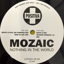 Mozaic - Nothing In The World (Original Mix / Motiv8 Full On Pumping Mix / Wag Ya Tail Mix / Motiv8 Mix)
