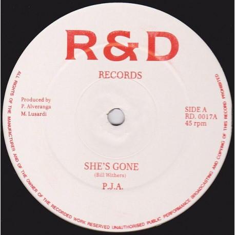 P.J.A - She Is Gone (2 Mixes)