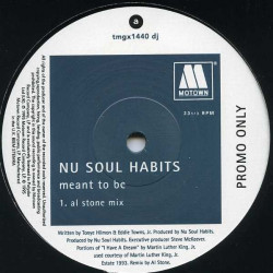 Nu Soul Habits - Meant To Be (LP Version / Al Stone Mix / Al Stone Inst) Vinyl Promo