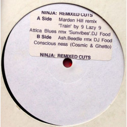 DJ Food - Concious Ness (2 Ashley Beedle Mixes) / DJ Food - Sunvibes (Attica Blues Remix) / 9 Lazy 9 - Train (Marden Hill Remix)