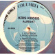 Kriss Kross - Alright (LP Version / Radio Version / Instrumental / DJ Nabs Break) Vinyl Promo