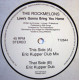 Rockmelons - Loves Gonna Bring You Home (Eric Kupper Club Mix / Eric Kupper Dub) Vinyl Promo