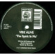 Vibe Alive - The Spirit In Me (Original / Acorn Arts Remix)