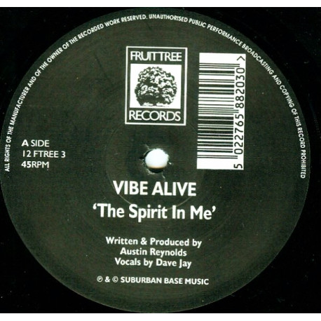 Vibe Alive - The Spirit In Me (Original / Acorn Arts Remix)