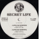 Secret Life - Love So Strong (House Mix / Play Boys Arena Mix / Junior Style Mix / Junior Style Dub) Vinyl Promo