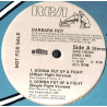 Barbara Roy - Gonna Put Up A Fight (Club Mix / Night Club Fight Mix / Bitch Fight Mix / LP Version / Single Mix) Vinyl Promo