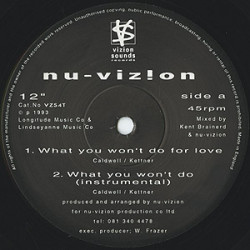 Nu Vizion - What You Wont Do For Love (Vocal / Instrumental) / You Gave Me Life