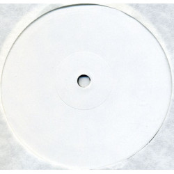 Sade - Couldnt Love You More (Todd Terry Vocal Mix / Todd Terry Instrumental) US White Label