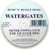 Watergates - Never Gonna Give You Up (Club Mix / Instrumental)
