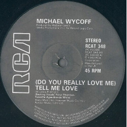 Michael Wycoff - Do You Really Love Me / Youve Got It Coming