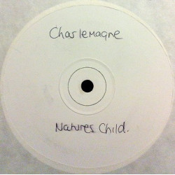 Diane Charlemagne - Natures Child (Vinyl Promo)