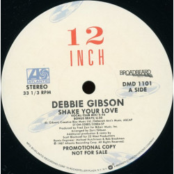 Debbie Gibson - Shake Your Love (Club Mix / Bonus Beats / Bad Dubb / Bassapella / House Version) Vinyl Promo