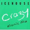 Icehouse - Crazy (Manic Mix / Mad Mix) / Completely Gone