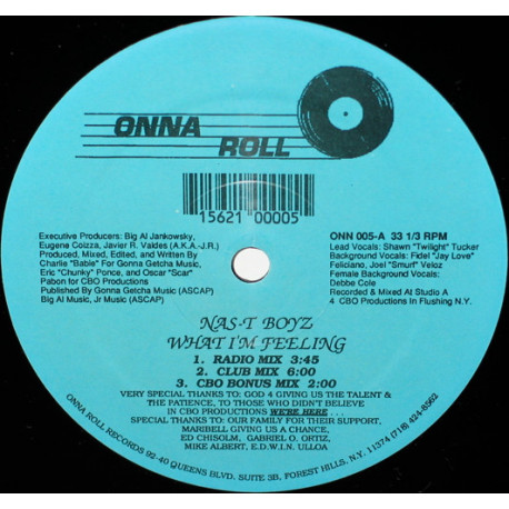 Nas-T Boyz – What I'm Feeling (Club Mix / Radio Mix / Hip Swing Mix / Nasty House Mix / Bonus Mix) SEALED