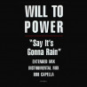 Will To Power - Say Its Gonna Rain (Extended Mix / Instrumental / 808 Cappella) SEALED