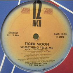 Tiger Moon - Something Tells Me (Club Version / Dub / Radio Edit) Vinyl Promo