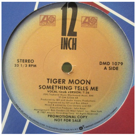 Tiger Moon - Something Tells Me (Club Version / Dub / Radio Edit) Vinyl Promo