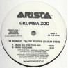 Qkumba Zoo - Im Scared Youre Scared (Murk Big Time Club Mix / Murk Radio Mix / Murk Big Fat Dub / Murk Green Dub)