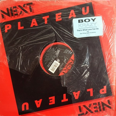 Boy Krazy - Thats What Love Can Do (Club Mix / Dub / Radio Edit) / One Thing Leads To Another SEALED