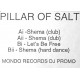 Pillar Of Salt - Shema (Club Mix / Dub / Hard Dance) / Lets Be Free (Vinyl Promo)