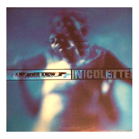 Nicolette - We Never Know (Original / Future Past Remix) / Nightmare