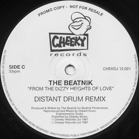 Beatnik - From The Dizzy Heights Of Love (Distant Drum Remix / Lost Mix) Vinyl Promo