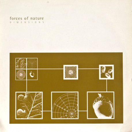 Forces Of Nature - Dimensions / Dreamscape / Interlude