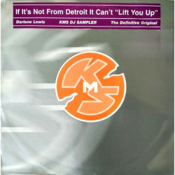 Darlene Lewis – Lift You Up (2 Mixes) Vinyl Promo