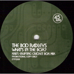 Boo Radleys - Whats In The Box (Kris's Erupting Cricket Box Mix) / Fortunate Sons (Greg Hunter Mix) Vinyl Promo