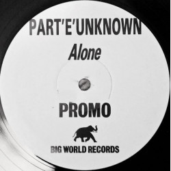 Part E Unknown Featuring JC001 & D Zire - Alone (Hip Groove Mix / D Zire Dont Tire Mix / Solitude 87 Mix) Vinyl Promo