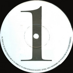 Perfect Beat Mixdown - Froggy Megamix Feat Planet Rock / Looking For The Perfect Beat / Pac Jam / Play At Your Own Risk (Promo)