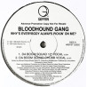 Bloodhound Gang - Whys Everyone Always Pickin On Me (Da Boom Squad Vocal / Chubb Vocal / DBS Dub / Chubb Dub) Promo