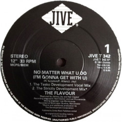 Flavour - No Matter What You Do (Tesko Development Vocal Mix / Strictly Development Mix / Dub / Red Underground Mix)