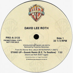 David Lee Roth - Stand Up (Francois Kevorkian Swank Remix / Extended Edit) Vinyl Promo
