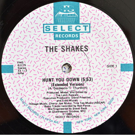 Shakes - Hunt You Down (Extended Version / Dub / Quick E) SEALED Vinyl