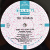 Shakes - Hunt You Down (Extended Version / Dub / Quick E) SEALED Vinyl