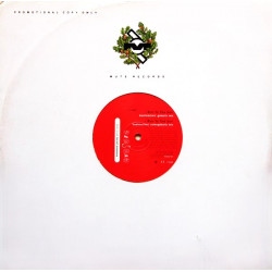 Erasure - Run To The Sun (Beatmasters Galactic Mix / Beatmasters Outergalactic Mix / DissCuss Mix / Amber Solaire) Vinyl Promo