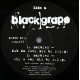 Black Grape - Marbles (R.I.P Dub Da Funk / R.I.P Why U Say Mix / Fabio Paras Mix) Vinyl Promo
