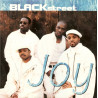 Blackstreet - Joy (Latin Combo / LP Version / New Carnegie Mix / Quiet Storm Mix / Uptown Mix / Cool Mix)