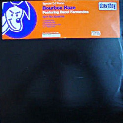 Bourbon Haze - Aint No Sunshine (Original Mix / Phantasy Mix / Downboy Down Mix / Radio Mix) Vinyl Promo